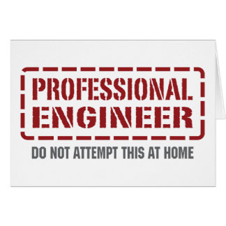 Professional Engineer