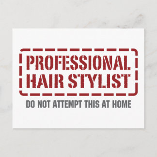 Professional Hair Stylist Postcard