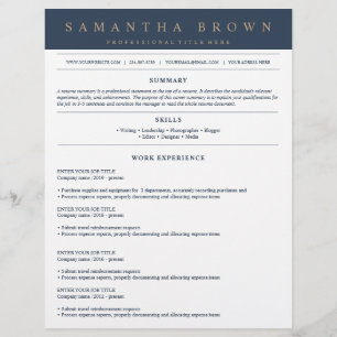 Professional job application resume navy