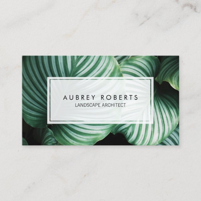 Professional Landscape Architect Tropical Plant Business Card (Front)