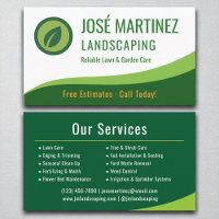 Professional Landscaping Green Lawn Care