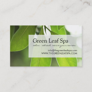 Professional Massage / Spa Business Card