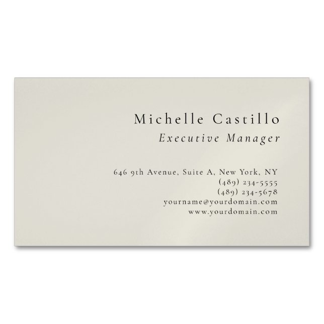 Professional Minimalist Modern Plain Magnetic Business Card (Front)
