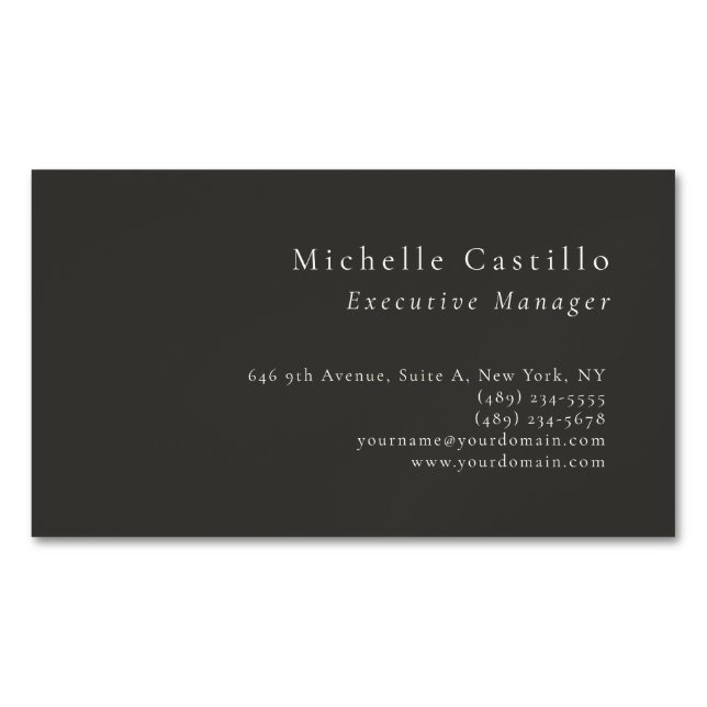 Professional Minimalist Modern Plain  Magnetic Business Card (Front)