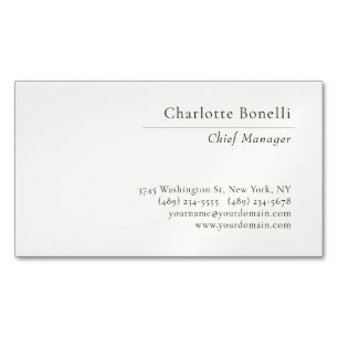 Professional Modern Minimalist Plain Beige Color Magnetic Business Card