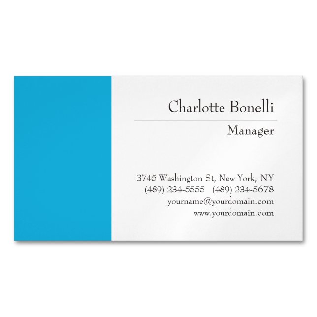 Professional Modern Minimalist Plain Magnetic Business Card (Front)