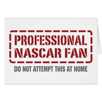 Professional NASCAR Fan