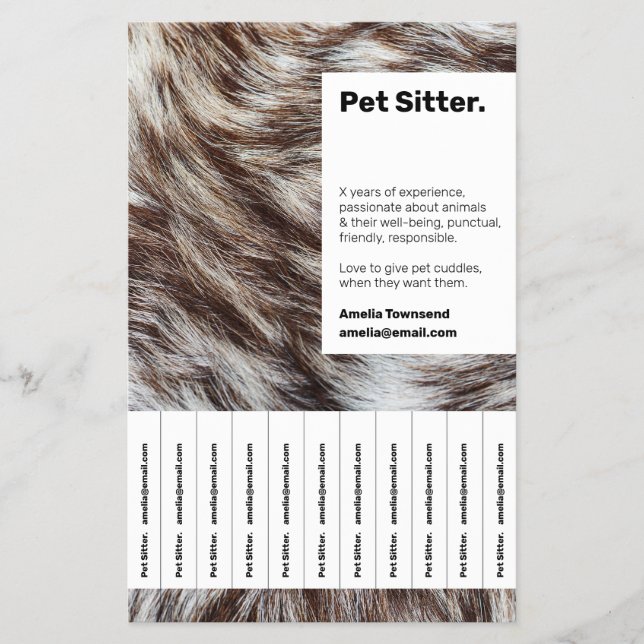 Professional Pet Sitting Flyer Small Business (Front)