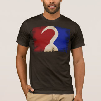 Professional Pirate T-Shirt