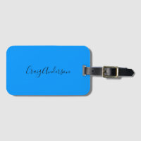 Professional Plain Modern Elegant Bright Blue Chic