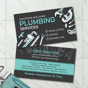 Professional Plumbing Services  Business Card