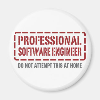 Professional Software Engineer Magnet