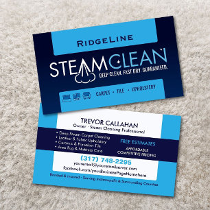 Professional Steam Cleaning Carpet & Upholstery Business Card
