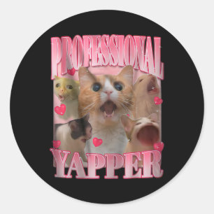 Professional Yapper Cat Funny Oddly Specific Dank Classic Round Sticker