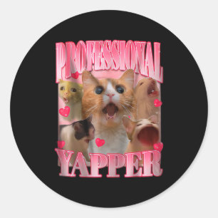 Professional Yapper Cat Funny Oddly Specific Dank  Classic Round Sticker