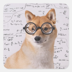 Professor Barkley Square Sticker (Glossy)