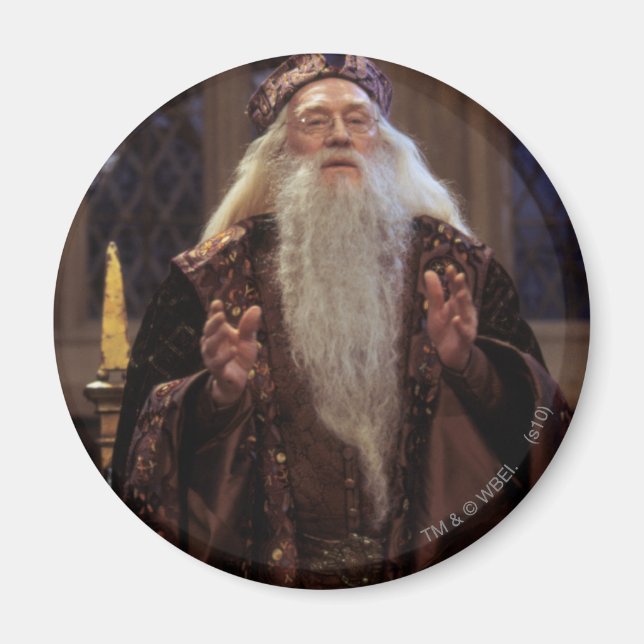 Professor Dumbledore Magnet (Front)