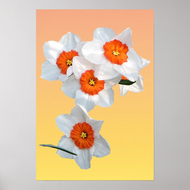 Professor Einstein's Flower Poster (Front)