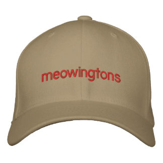 Professor Meowingtons Hat