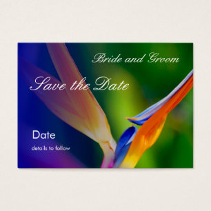 Profile Card_Save the Date