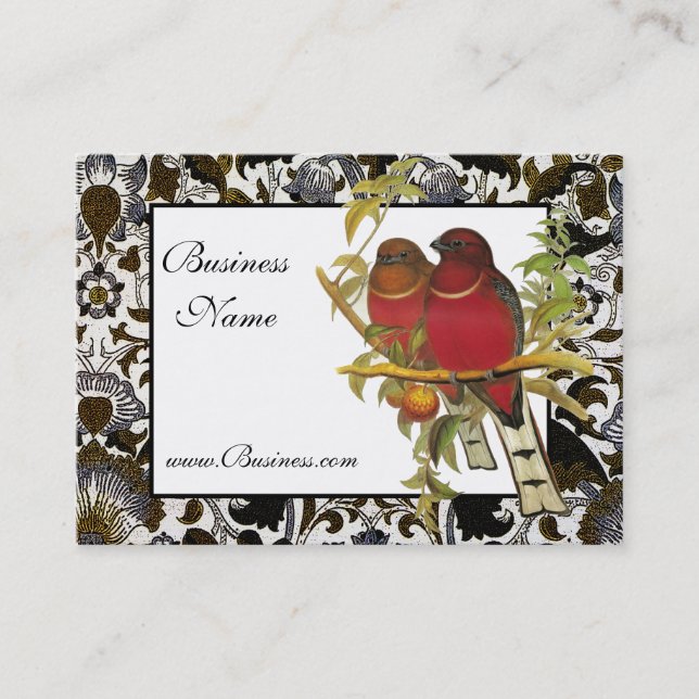 Profile Card Vintage Red-headed Trogon Birds (Front)