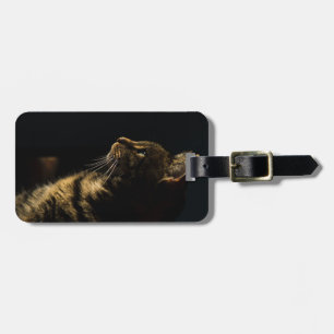profile cat luggage tag