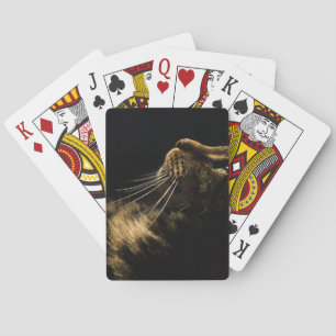 profile cat playing cards