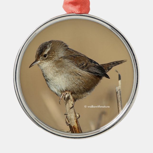 Profile of a Beautiful Marsh Wren Metal Tree Decoration (Front)
