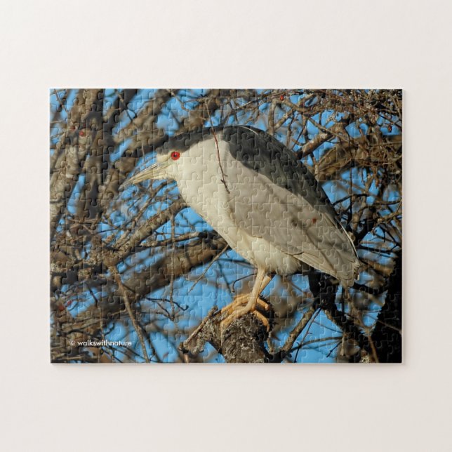 Profile of a Black-Crowned Night Heron Jigsaw Puzzle (Horizontal)