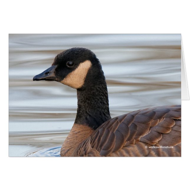 Profile of a Cackling Goose (Front Horizontal)
