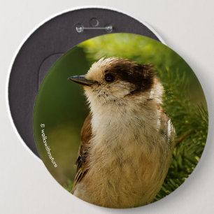 Profile of a Cute Grey Jay / Whiskeyjack 6 Cm Round Badge