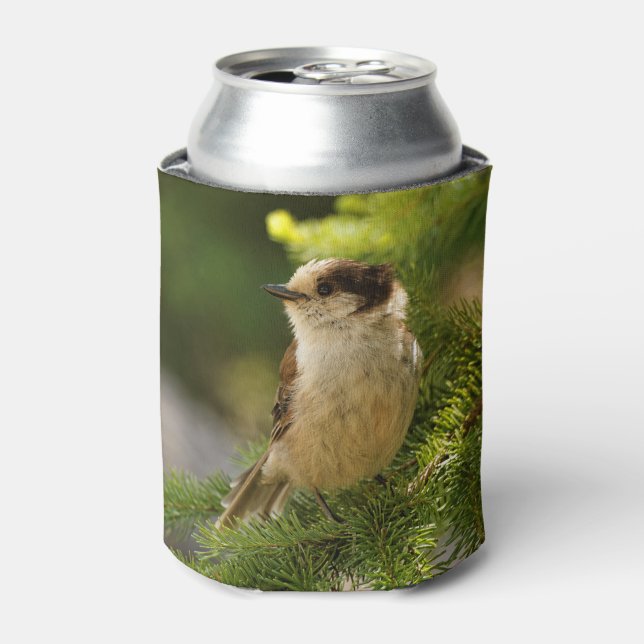 Profile of a Cute Grey Jay / Whiskeyjack Can Cooler (Can Front)