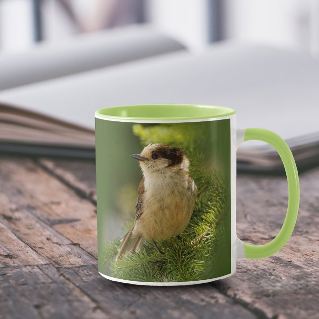 Profile of a Cute Grey Jay / Whiskeyjack Mug (Portrait of a Grey Jay Whiskeyjack in the Tree 11 oz Coffee Mug Cover Photo.)