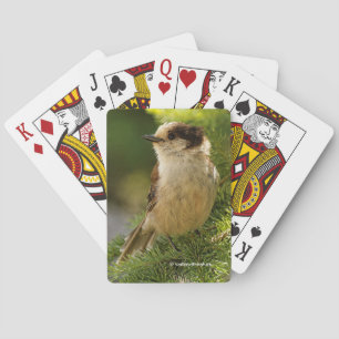 Profile of a Cute Grey Jay Whiskeyjack Playing Cards