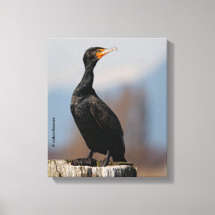 Profile of a Double-Crested Cormorant Canvas Print