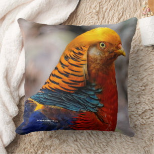 Profile of a Golden Red Pheasant Cushion