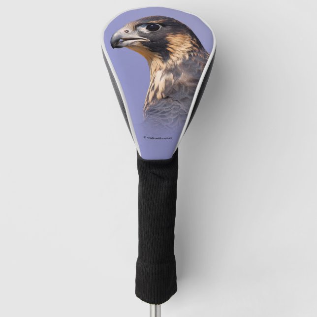 Profile of a Juvenile Peregrine Falcon Golf Head Cover (Front)