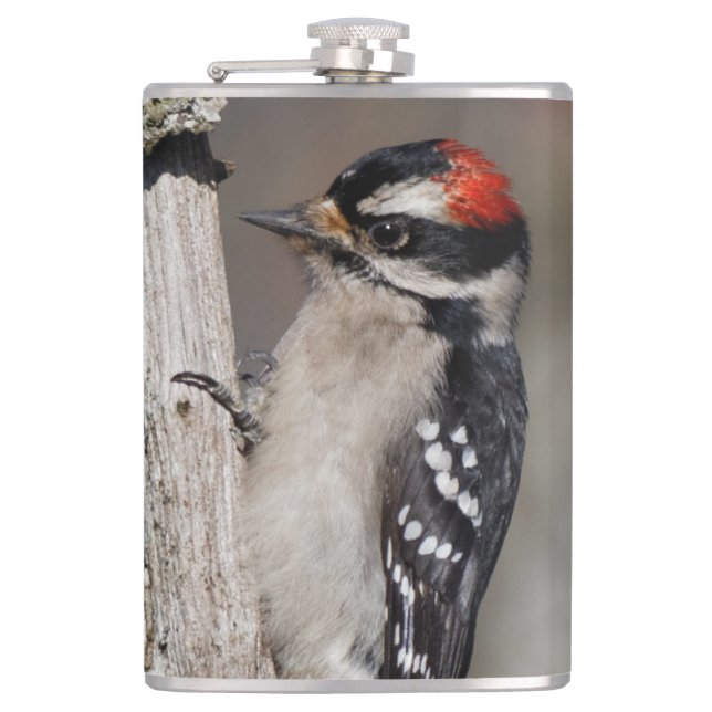 Profile of a Male Downy Woodpecker Hip Flask (Front)