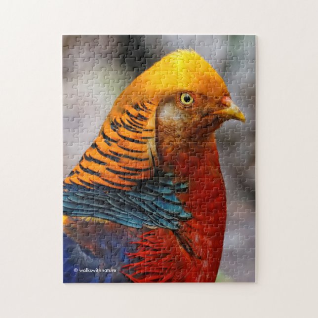 Profile of a Red Golden Pheasant Jigsaw Puzzle (Vertical)