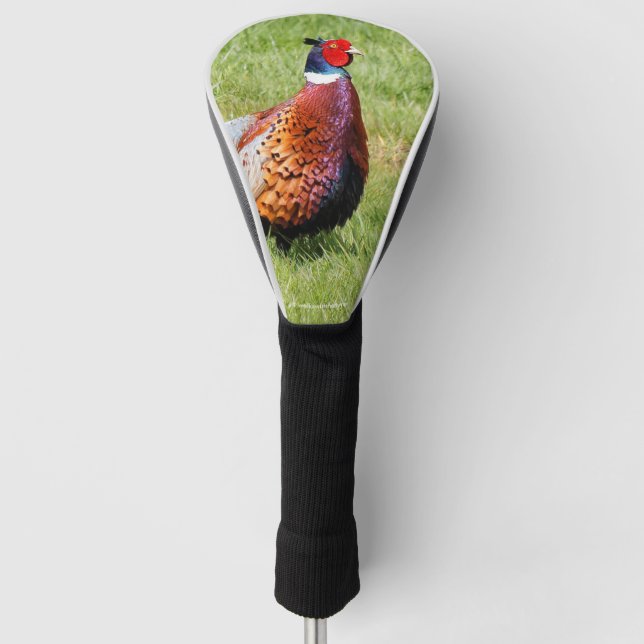 Profile of a Ring-Necked Pheasant Golf Head Cover (Front)