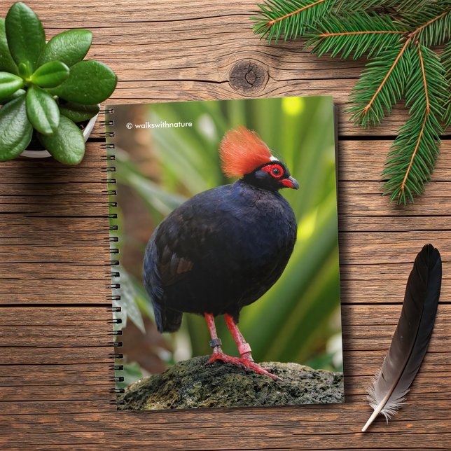Profile of a Roul-Roul Crested Wood Partridge Notebook (Profile of a Roul-Roul Wood Crested Partridge Journal Cover Photo)