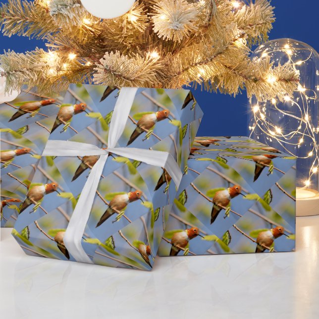 Profile of a Rufous Hummingbird Wrapping Paper (Holidays)