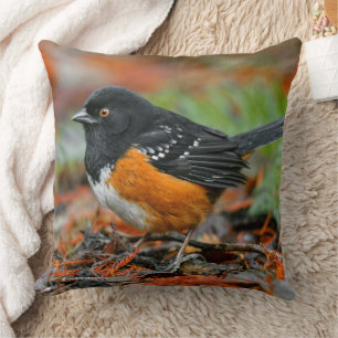 Profile of a Spotted Towhee Cushion
