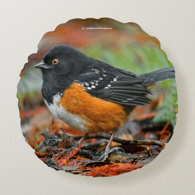 Profile of a Spotted Towhee Round Cushion (Front)