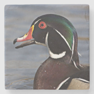 Profile of A Wood duck Stone Coaster