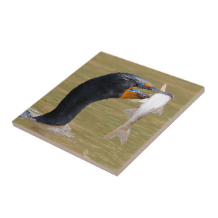 Profile of an Adult Double-Crested Cormorant Tile