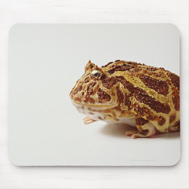Profile of Argentine Horned Frog Mouse Pad (Front)