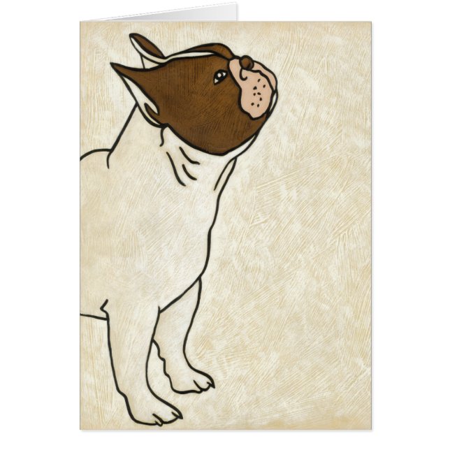 Profile of French Bulldog Looking Up (Front)