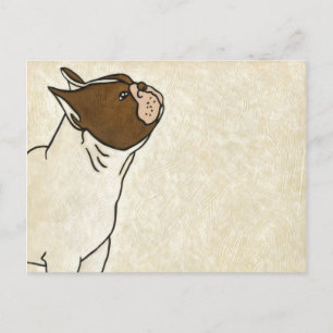 Profile of French Bulldog Looking Up Postcard