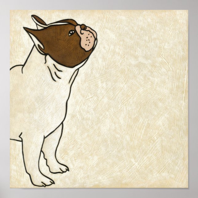 Profile of French Bulldog Looking Up Poster (Front)